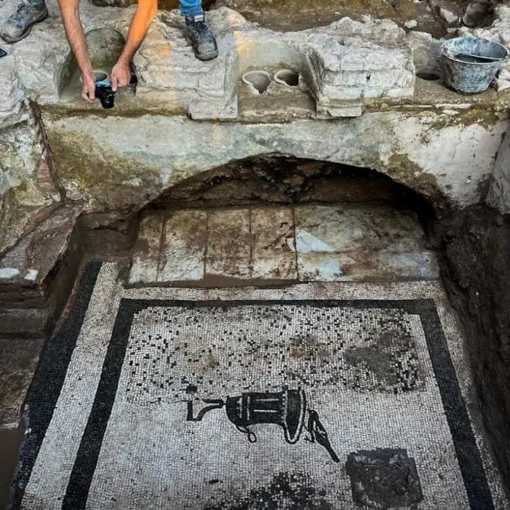 Scorcio di un antico mosaico pavimentale che mostra un bicchiere capovolto, scoperto durante uno scavo archeologico, con persone sullo sfondo che osservano da dietro una barriera