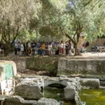 Lo scavo archeologico di Via Appia Antica 39